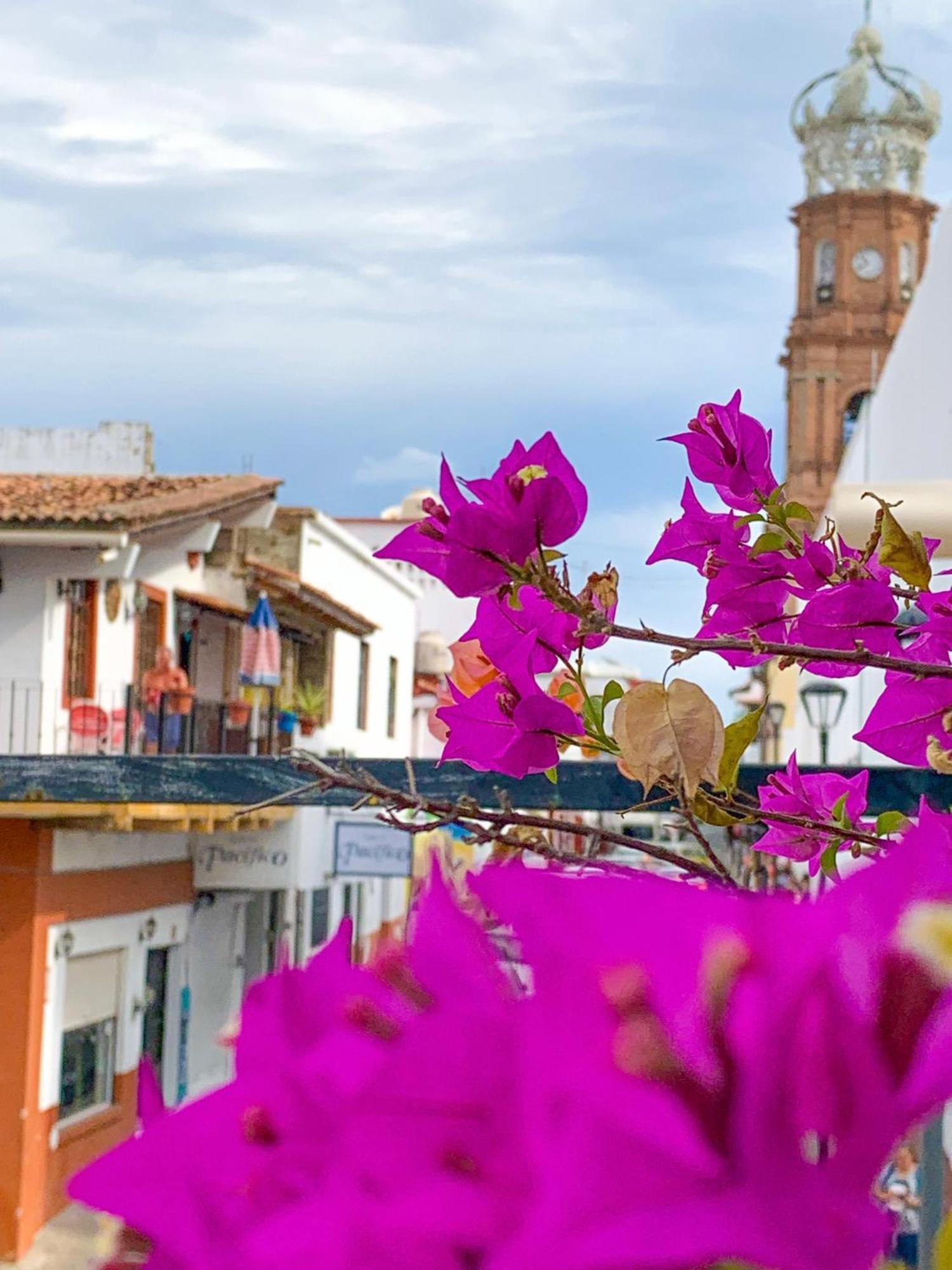 Casa Frida Gaylodging Puerto Vallarta Zewnętrze zdjęcie